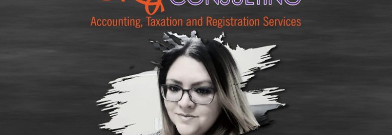 Sky Financial Consulting